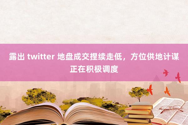 露出 twitter 地盘成交捏续走低，方位供地计谋正在积极调度