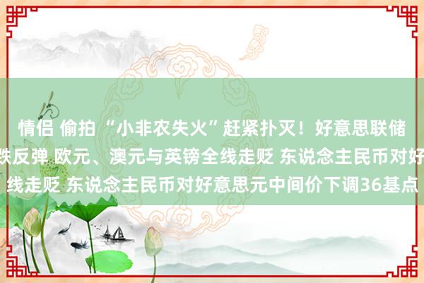 情侣 偷拍 “小非农失火”赶紧扑灭！好意思联储官员救火促好意思元止跌反弹 欧元、澳元与英镑全线走贬 东说念主民币对好意思元中间价下调36基点