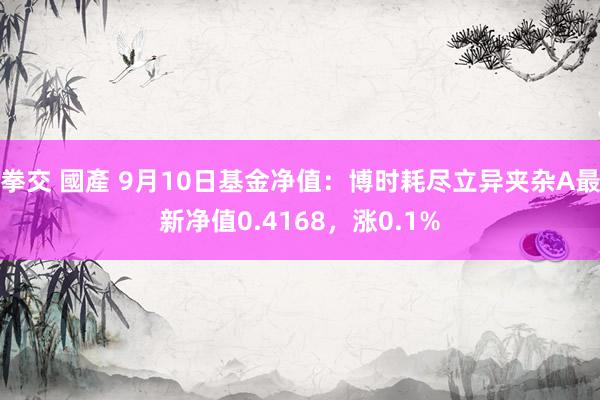 拳交 國產 9月10日基金净值：博时耗尽立异夹杂A最新净值0.4168，涨0.1%