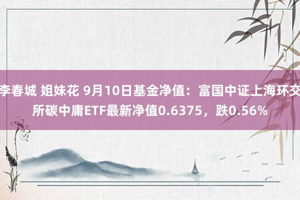 李春城 姐妹花 9月10日基金净值：富国中证上海环交所碳中庸ETF最新净值0.6375，跌0.56%