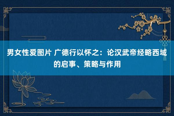 男女性爱图片 广德行以怀之：论汉武帝经略西域的启事、策略与作用