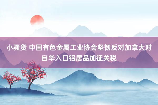 小骚货 中国有色金属工业协会坚韧反对加拿大对自华入口铝居品加征关税