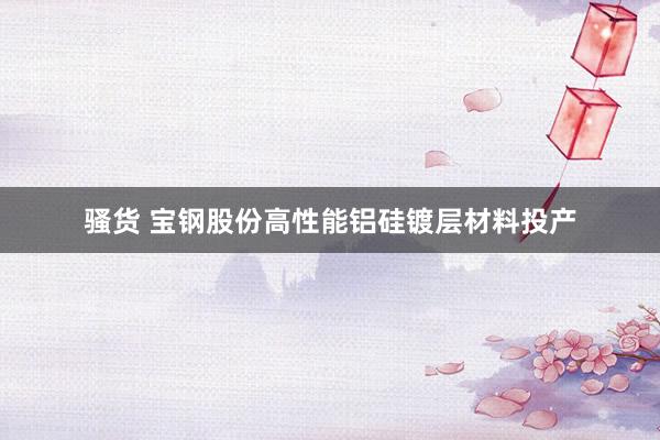 骚货 宝钢股份高性能铝硅镀层材料投产