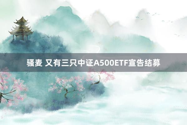 骚麦 又有三只中证A500ETF宣告结募