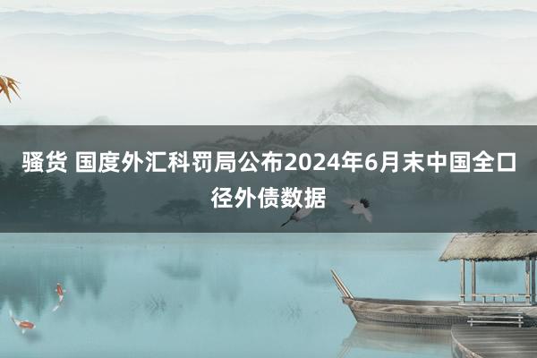 骚货 国度外汇科罚局公布2024年6月末中国全口径外债数据