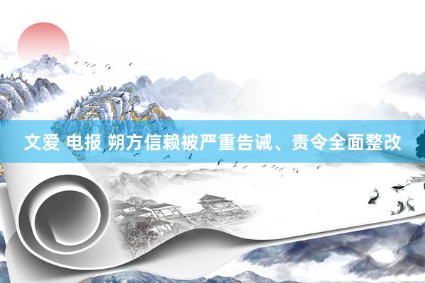 文爱 电报 朔方信赖被严重告诫、责令全面整改