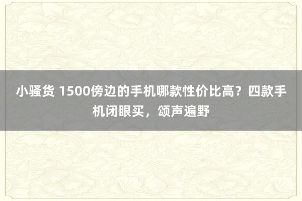 小骚货 1500傍边的手机哪款性价比高？四款手机闭眼买，颂声遍野