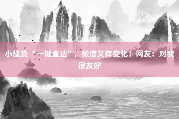 小骚货 “一键直达”，微信又有变化！网友：对我很友好