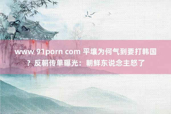 www 91porn com 平壤为何气到要打韩国？反朝传单曝光：朝鲜东说念主怒了