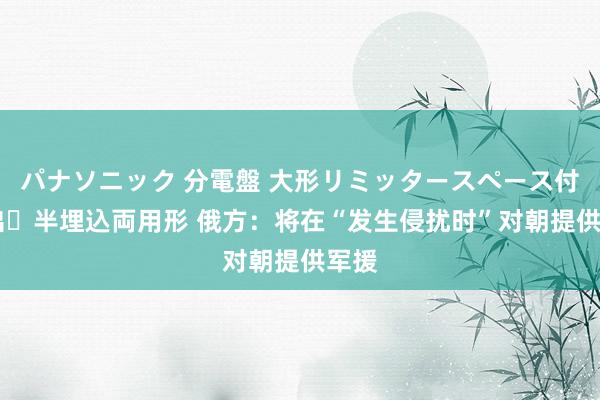 パナソニック 分電盤 大形リミッタースペース付 露出・半埋込両用形 俄方：将在“发生侵扰时”对朝提供军援