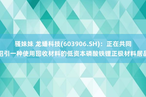 骚妹妹 龙蟠科技(603906.SH)：正在共同招引一种使用回收材料的低资本磷酸铁锂正极材料居品