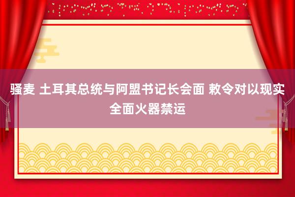 骚麦 土耳其总统与阿盟书记长会面 敕令对以现实全面火器禁运