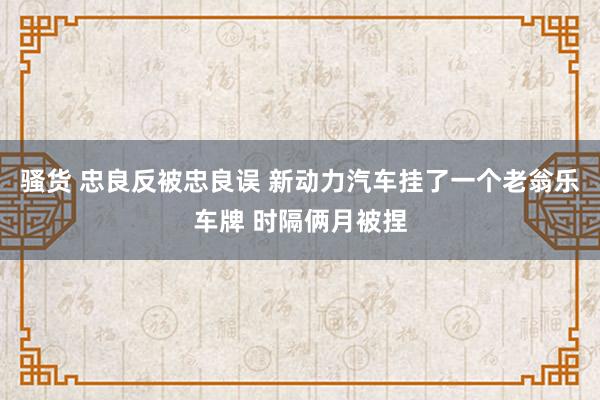 骚货 忠良反被忠良误 新动力汽车挂了一个老翁乐车牌 时隔俩月被捏