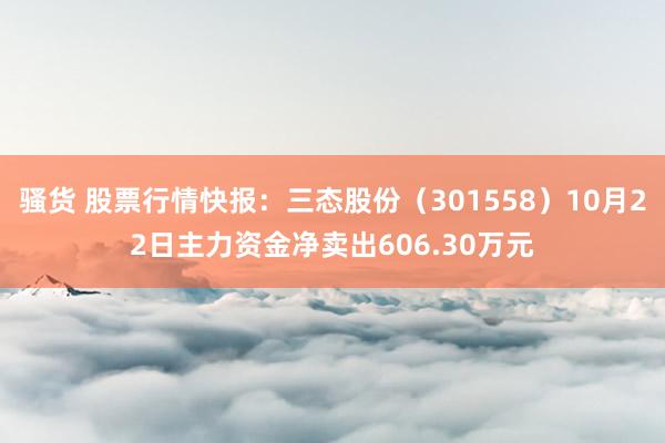 骚货 股票行情快报：三态股份（301558）10月22日主力资金净卖出606.30万元