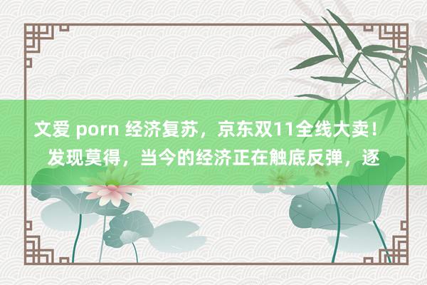 文爱 porn 经济复苏，京东双11全线大卖！ 发现莫得，当今的经济正在触底反弹，逐