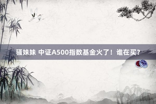 骚妹妹 中证A500指数基金火了！谁在买？