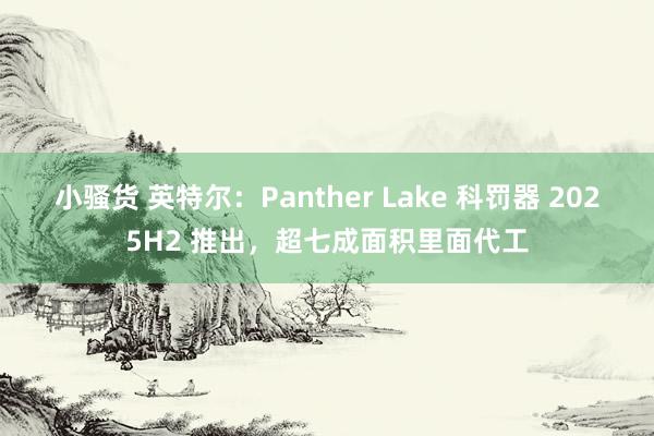 小骚货 英特尔：Panther Lake 科罚器 2025H2 推出，超七成面积里面代工