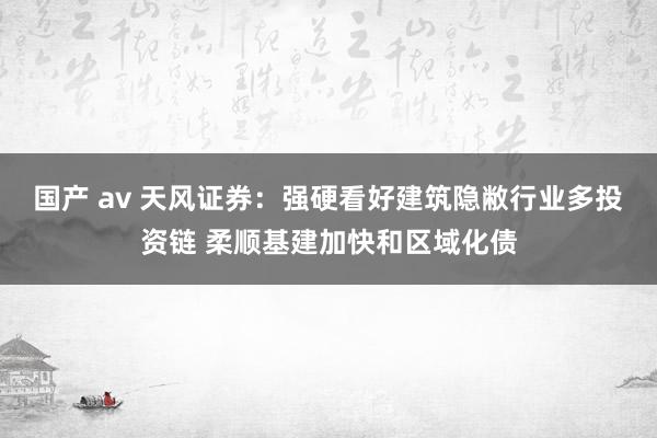 国产 av 天风证券：强硬看好建筑隐敝行业多投资链 柔顺基建加快和区域化债