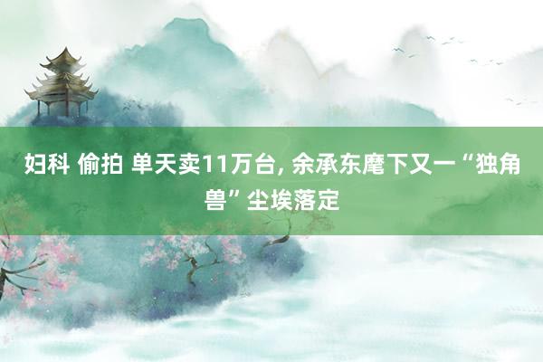 妇科 偷拍 单天卖11万台， 余承东麾下又一“独角兽”尘埃落定