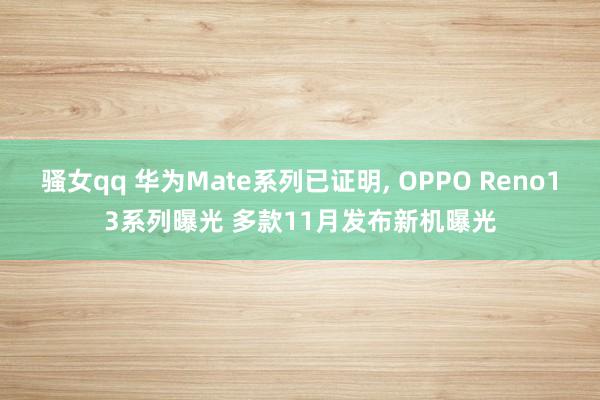 骚女qq 华为Mate系列已证明， OPPO Reno13系列曝光 多款11月发布新机曝光