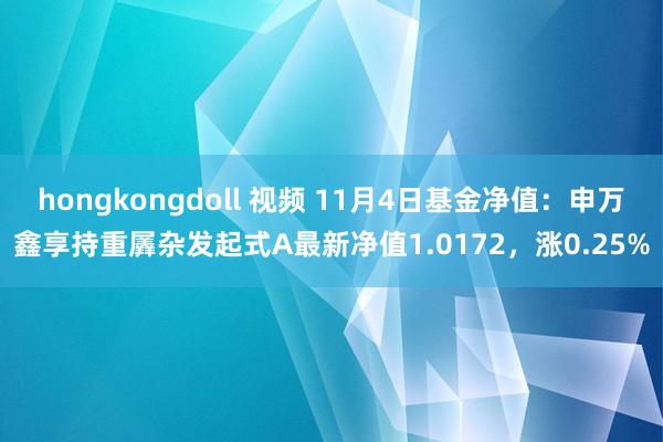 hongkongdoll 视频 11月4日基金净值：申万鑫享持重羼杂发起式A最新净值1.0172，涨0.25%