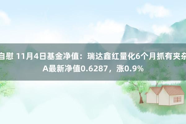 自慰 11月4日基金净值：瑞达鑫红量化6个月抓有夹杂A最新净值0.6287，涨0.9%