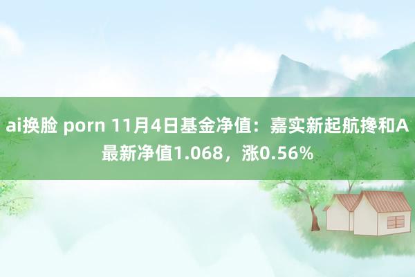 ai换脸 porn 11月4日基金净值：嘉实新起航搀和A最新净值1.068，涨0.56%