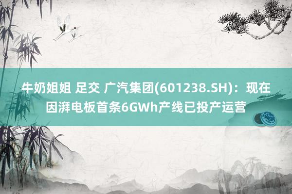 牛奶姐姐 足交 广汽集团(601238.SH)：现在因湃电板首条6GWh产线已投产运营