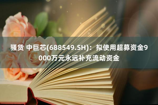 骚货 中巨芯(688549.SH)：拟使用超募资金9000万元永远补充流动资金