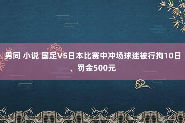 男同 小说 国足VS日本比赛中冲场球迷被行拘10日、罚金500元