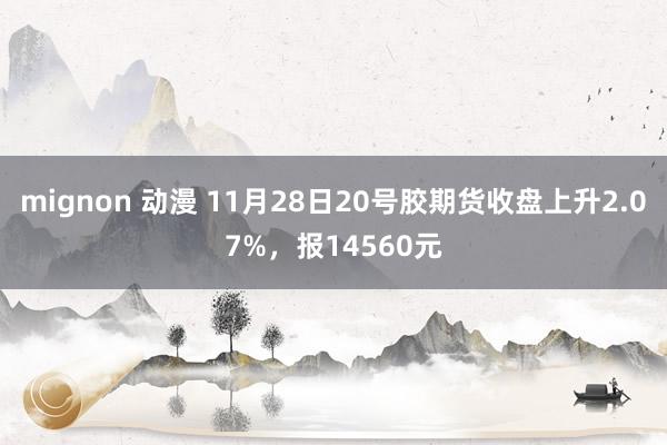 mignon 动漫 11月28日20号胶期货收盘上升2.07%，报14560元