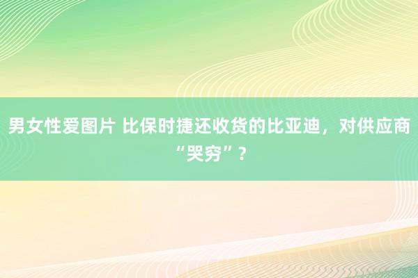 男女性爱图片 比保时捷还收货的比亚迪，对供应商“哭穷”？