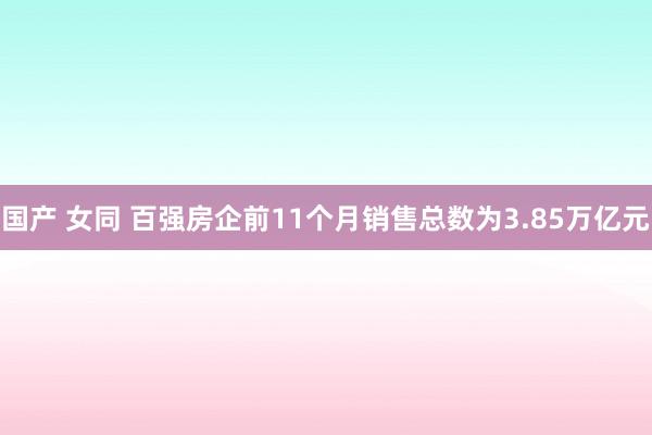 国产 女同 百强房企前11个月销售总数为3.85万亿元