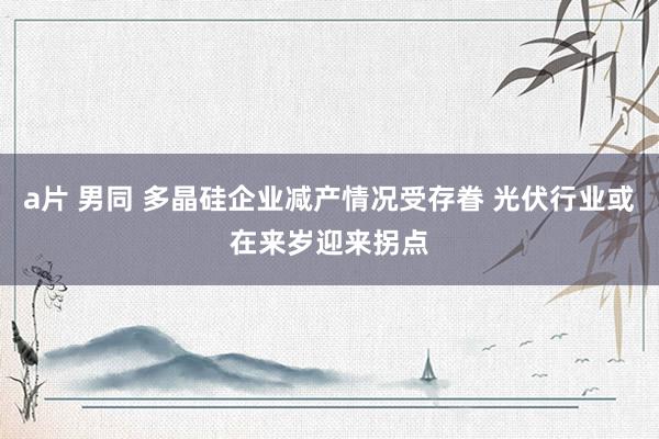 a片 男同 多晶硅企业减产情况受存眷 光伏行业或在来岁迎来拐点