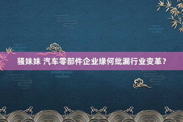 骚妹妹 汽车零部件企业缘何纰漏行业变革？