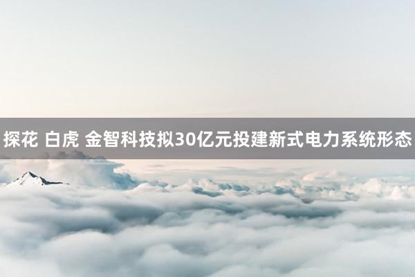 探花 白虎 金智科技拟30亿元投建新式电力系统形态