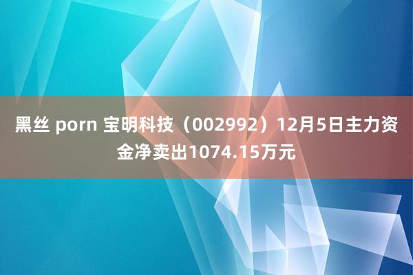 黑丝 porn 宝明科技（002992）12月5日主力资金净卖出1074.15万元