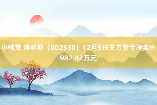 小骚货 得利斯（002330）12月5日主力资金净卖出982.42万元