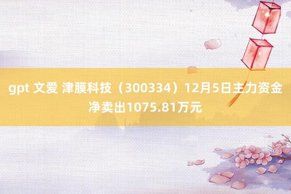 gpt 文爱 津膜科技（300334）12月5日主力资金净卖出1075.81万元