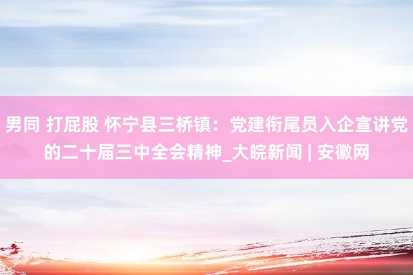 男同 打屁股 怀宁县三桥镇：党建衔尾员入企宣讲党的二十届三中全会精神_大皖新闻 | 安徽网