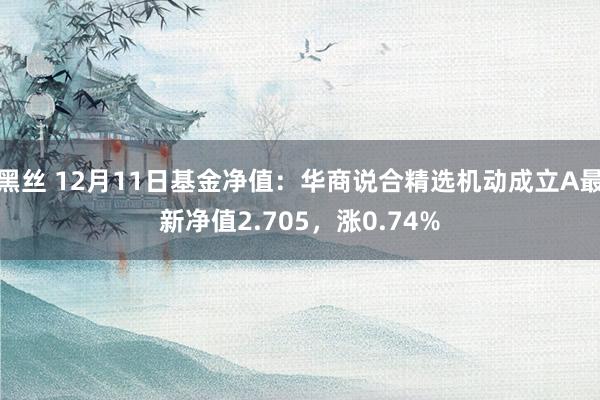 黑丝 12月11日基金净值：华商说合精选机动成立A最新净值2.705，涨0.74%