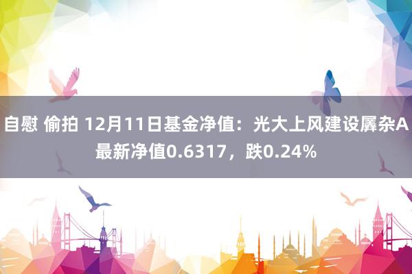 自慰 偷拍 12月11日基金净值：光大上风建设羼杂A最新净值0.6317，跌0.24%