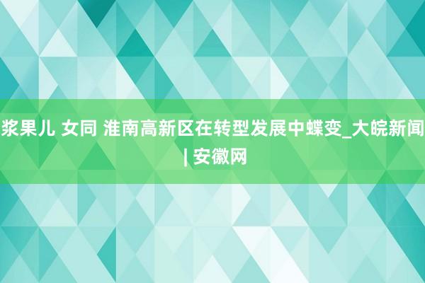 浆果儿 女同 淮南高新区在转型发展中蝶变_大皖新闻 | 安徽网