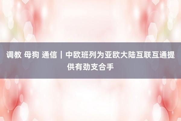 调教 母狗 通信｜中欧班列为亚欧大陆互联互通提供有劲支合手