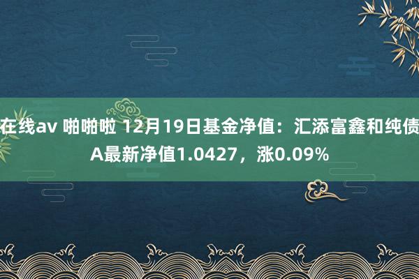 在线av 啪啪啦 12月19日基金净值：汇添富鑫和纯债A最新净值1.0427，涨0.09%