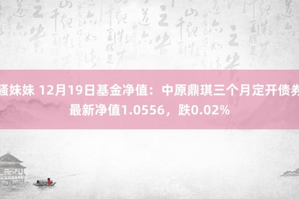 骚妹妹 12月19日基金净值：中原鼎琪三个月定开债券最新净值1.0556，跌0.02%