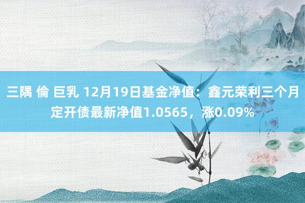 三隅 倫 巨乳 12月19日基金净值：鑫元荣利三个月定开债最新净值1.0565，涨0.09%