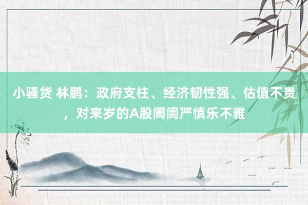 小骚货 林鹏：政府支柱、经济韧性强、估值不贵，对来岁的A股阛阓严慎乐不雅