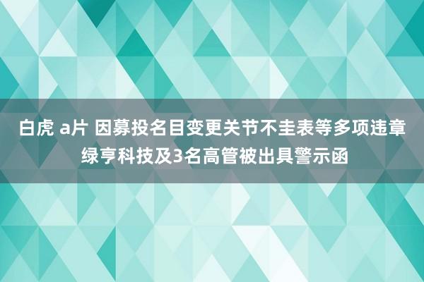 白虎 a片 因募投名目变更关节不圭表等多项违章 绿亨科技及3名高管被出具警示函