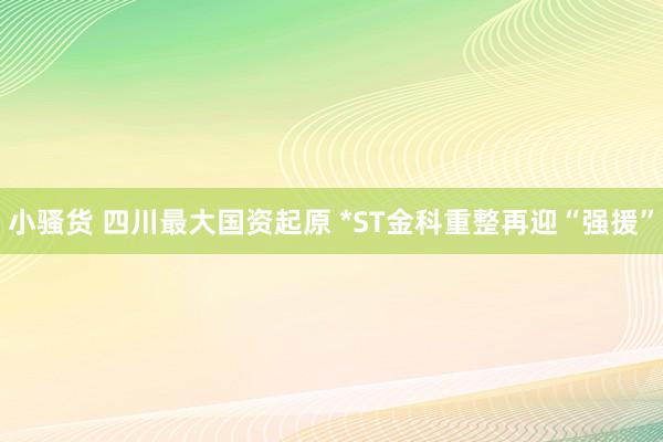 小骚货 四川最大国资起原 *ST金科重整再迎“强援”